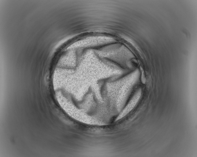 X0000113540971200910161408