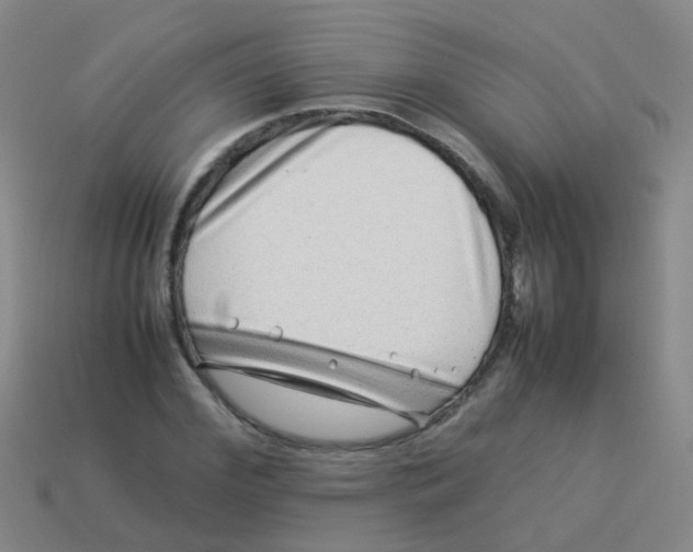 X0000113540972200910161408