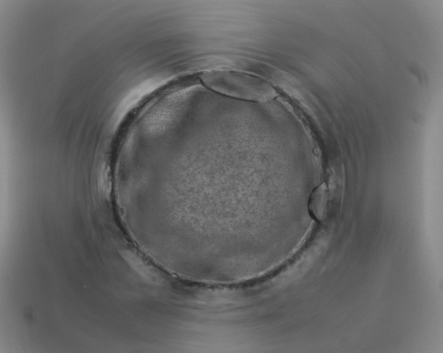 X0000113540973200910161408