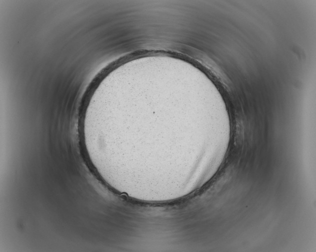 X0000113540976200910161408