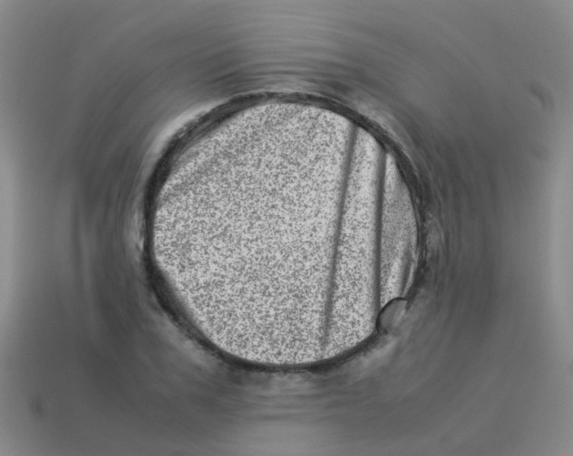 X0000113540979200910161408
