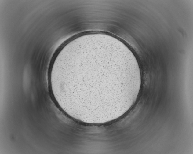 X0000113540980200910161408