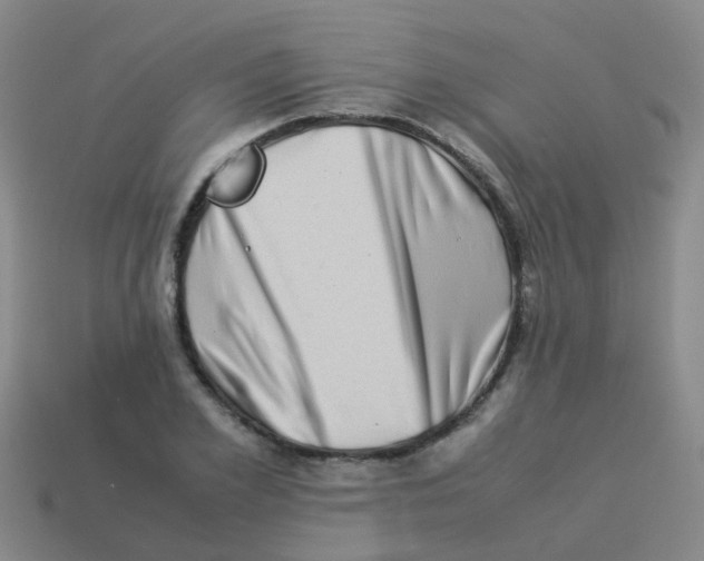 X0000113540981200910161408