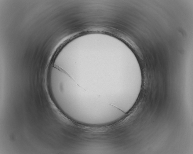X0000113540984200910161408