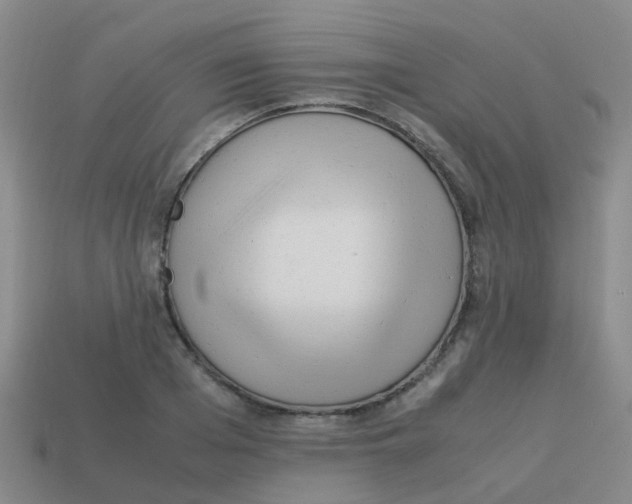 X0000113540985200910161408