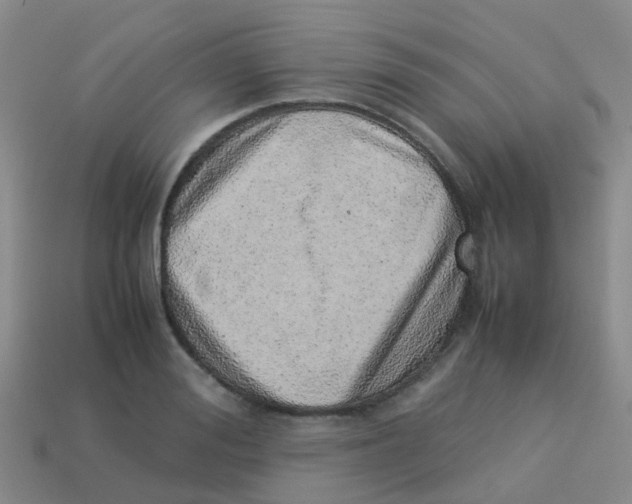 X0000113540988200910161408