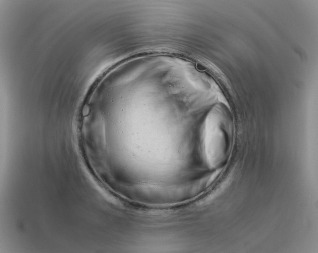 X0000113540989200910161408