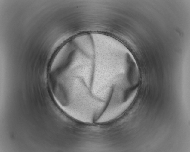 X0000113540990200910161408