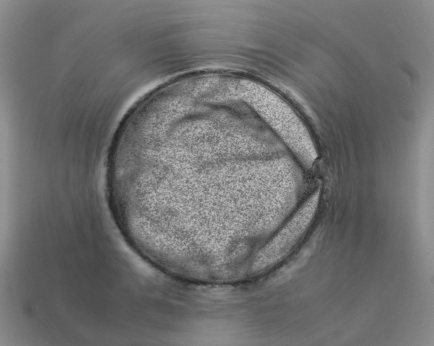 X0000113540991200910161408