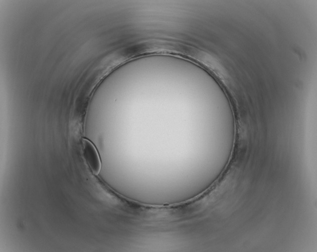 X0000113540993200910161408