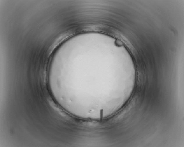 X0000113540994200910161408