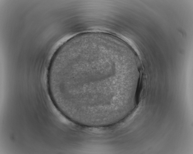 X0000113540995200910161408