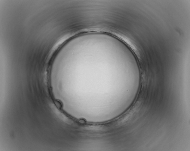 X0000113540998200910161408