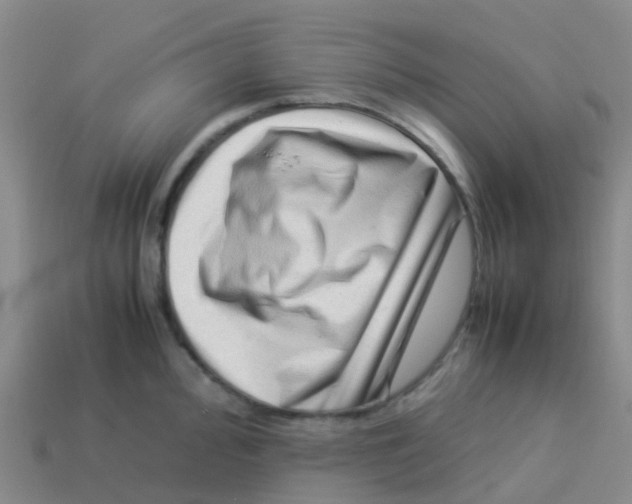 X0000113541000200910161408