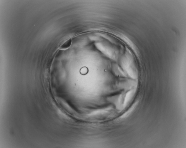 X0000113541001200910161408