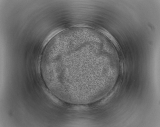X0000113541002200910161408