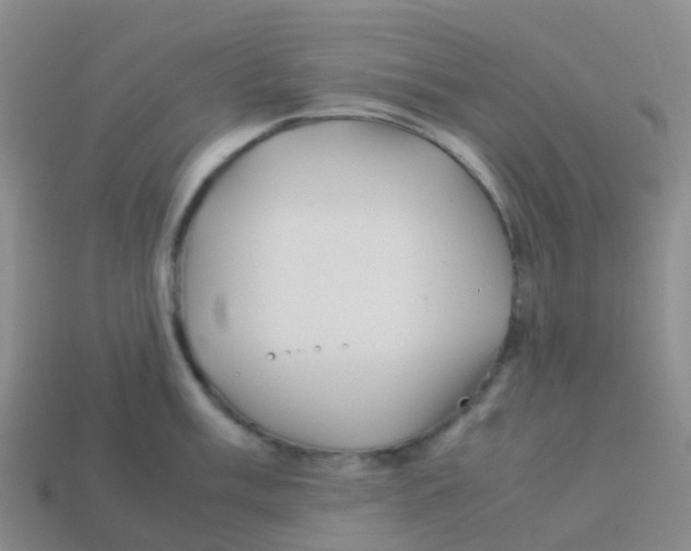 X0000113541003200910161408