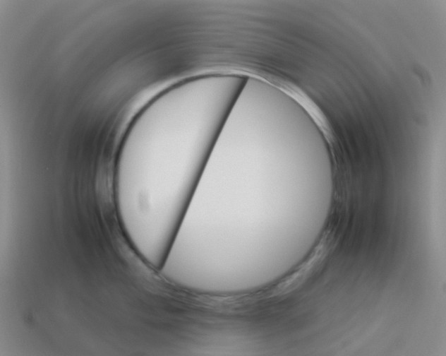X0000113541004200910161408