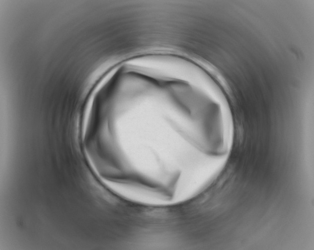 X0000113541006200910161408