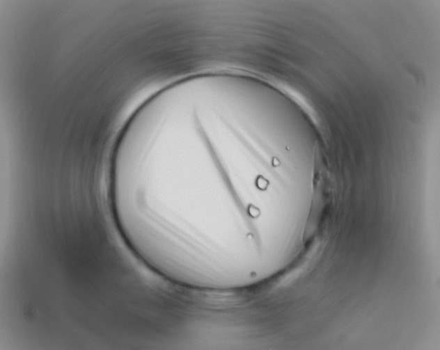 X0000113541007200910161408