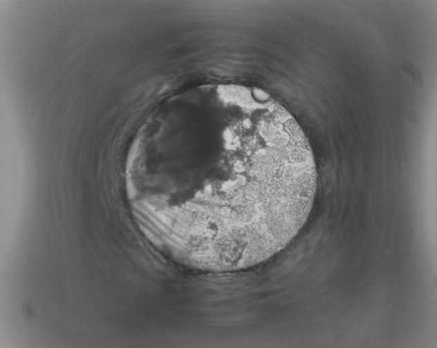 X0000113541009200910161407
