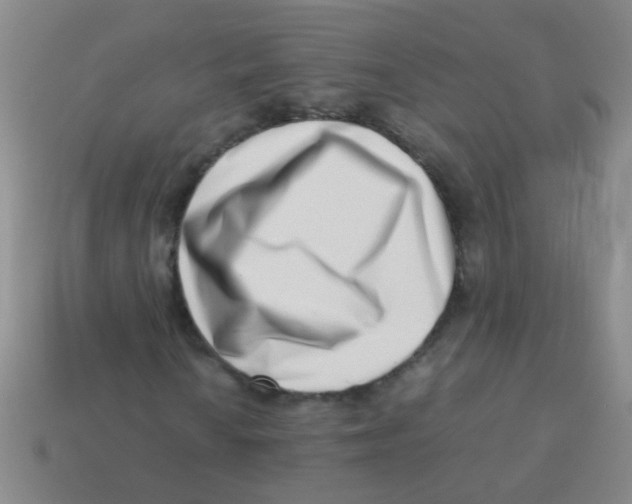 X0000113541010200910161407