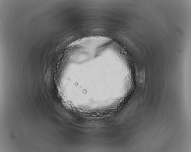 X0000113541011200910161407