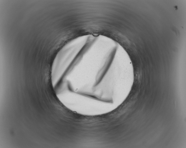 X0000113541012200910161407