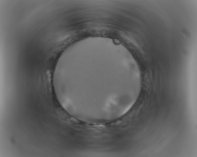 X0000113541013200910161407