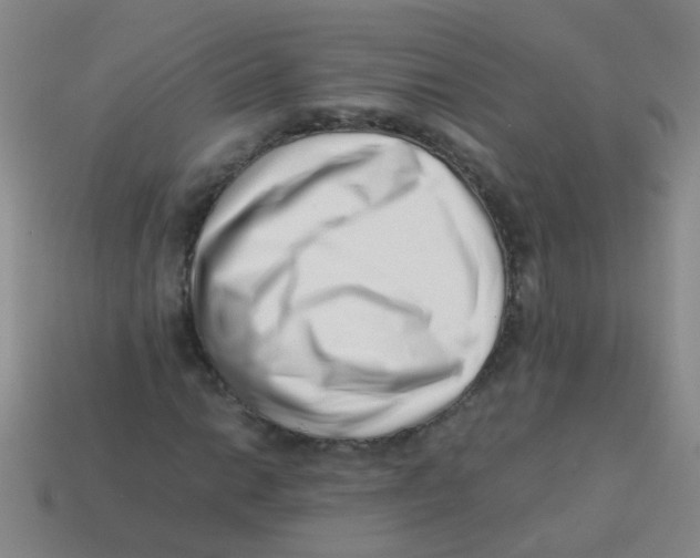 X0000113541014200910161407