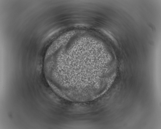 X0000113541015200910161407