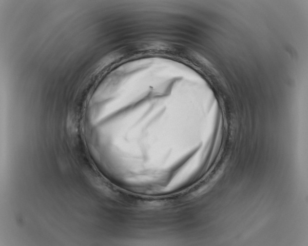 X0000113541017200910161407