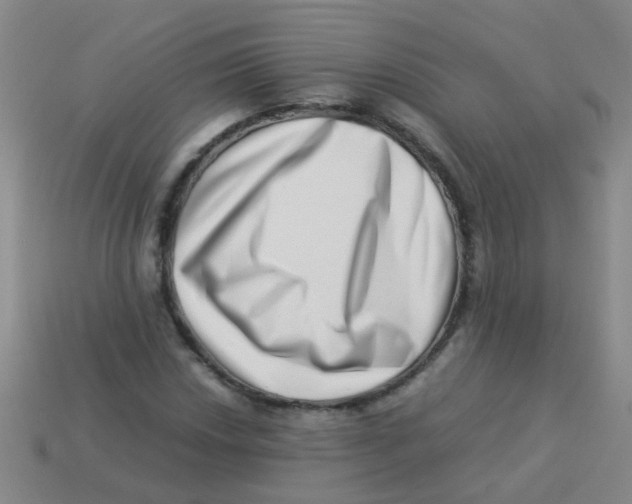 X0000113541018200910161407