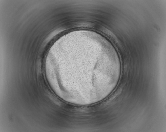 X0000113541019200910161407