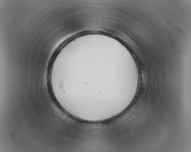 X0000113541020200910161407