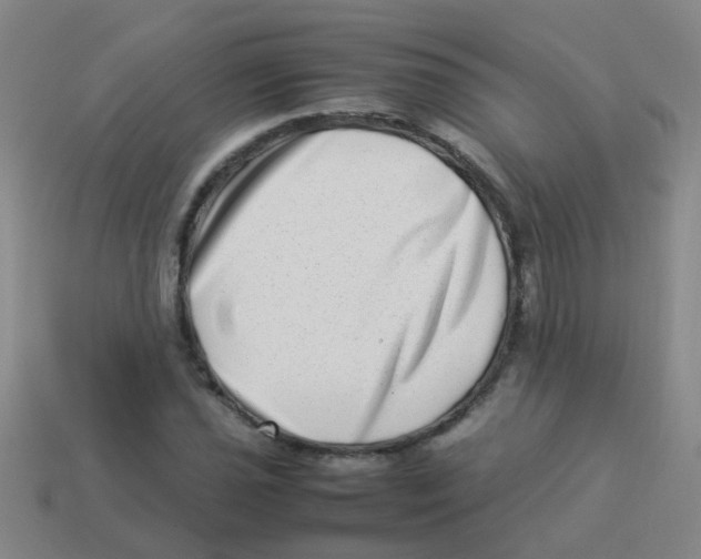 X0000113541021200910161407