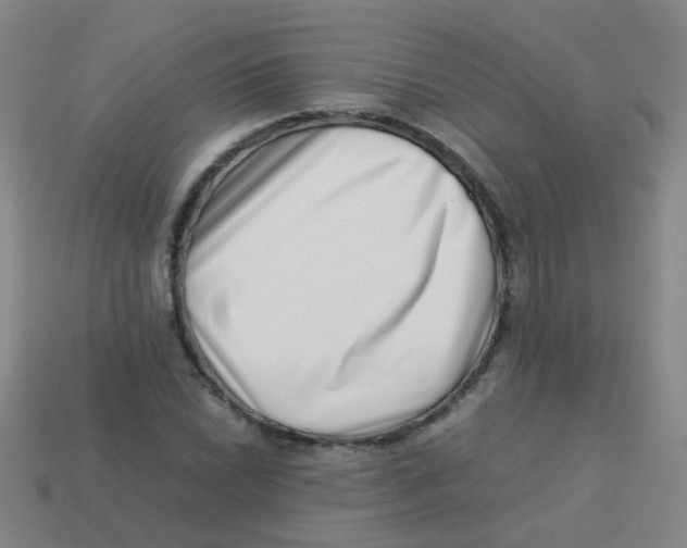 X0000113541022200910161407
