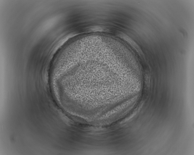 X0000113541023200910161407