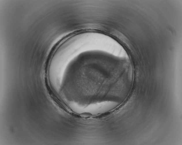 X0000113541024200910161407