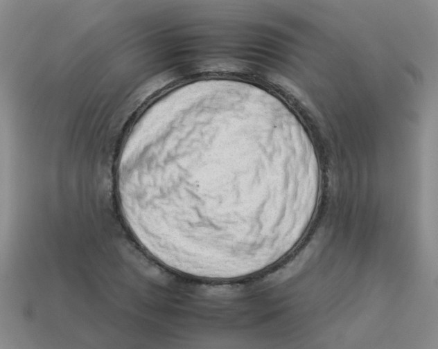 X0000113541025200910161407