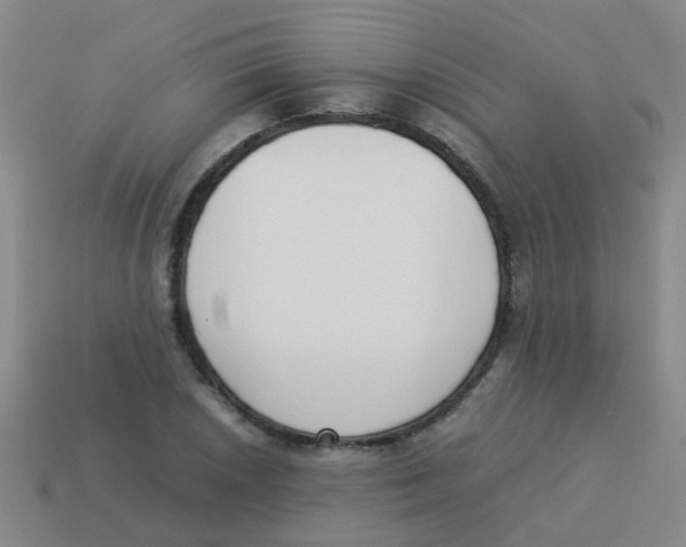 X0000113541026200910161407