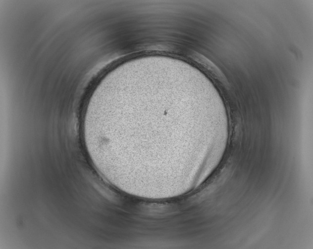 X0000113541027200910161407