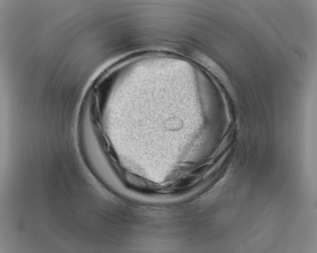 X0000113541028200910161408