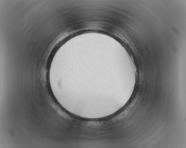 X0000113541029200910161408