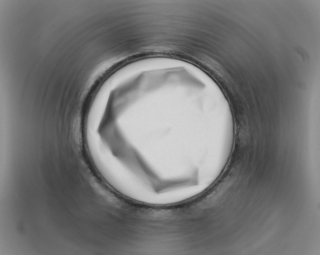 X0000113541030200910161408