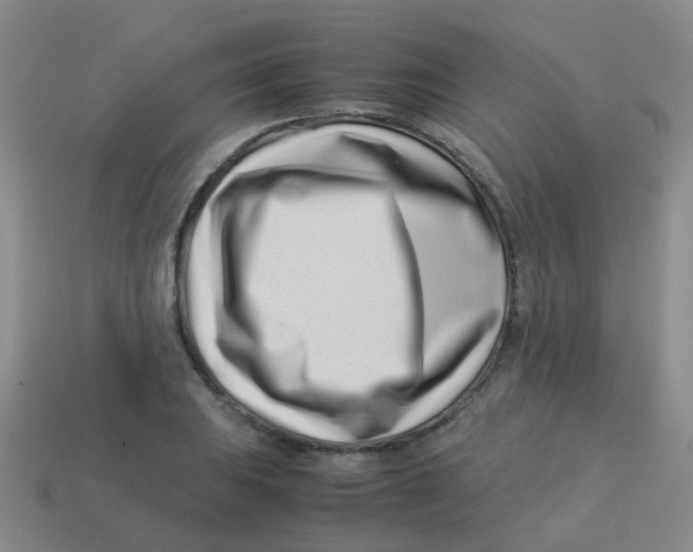 X0000113541031200910161408