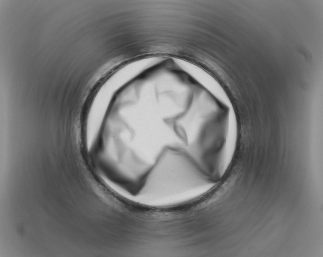 X0000113541034200910161408