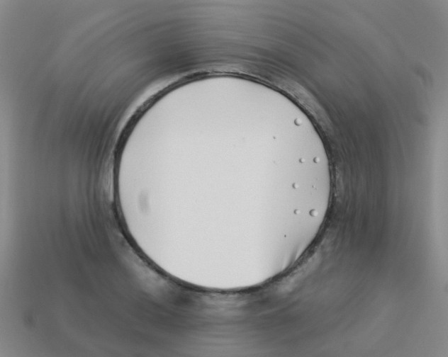 X0000113541036200910161408