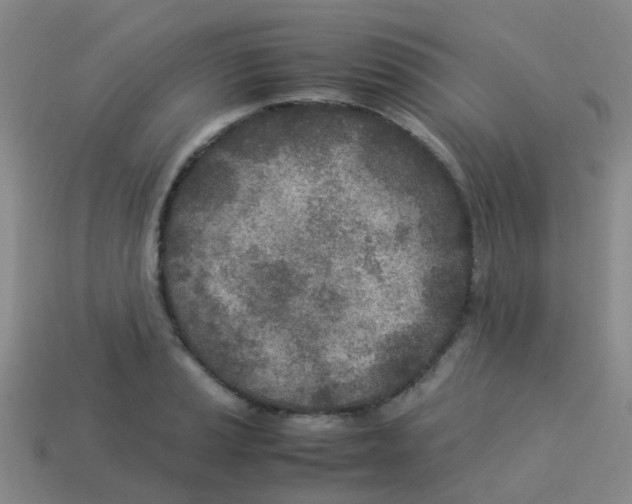 X0000113541037200910161408