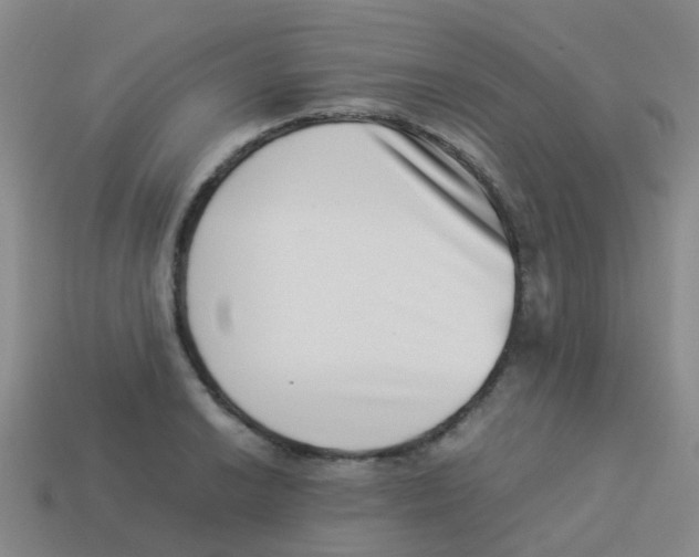 X0000113541038200910161408